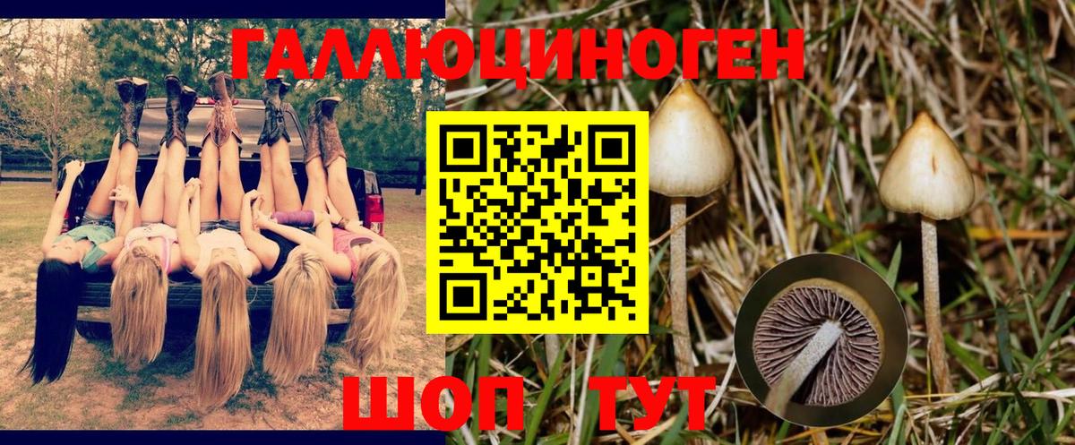 Белебей  Галлюциногенные грибы мухоморы  Псилоцибиновые грибы Magic Shrooms  Вход с VPN 